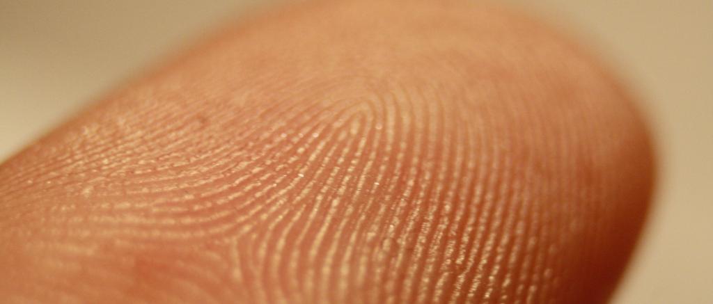 Impronta digitale - controllo accessi